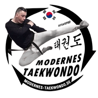 getsafepro modernes olympisches taekwondo mainz kampfkunst kampfsport tae-kwon-do kinder und erwachsene